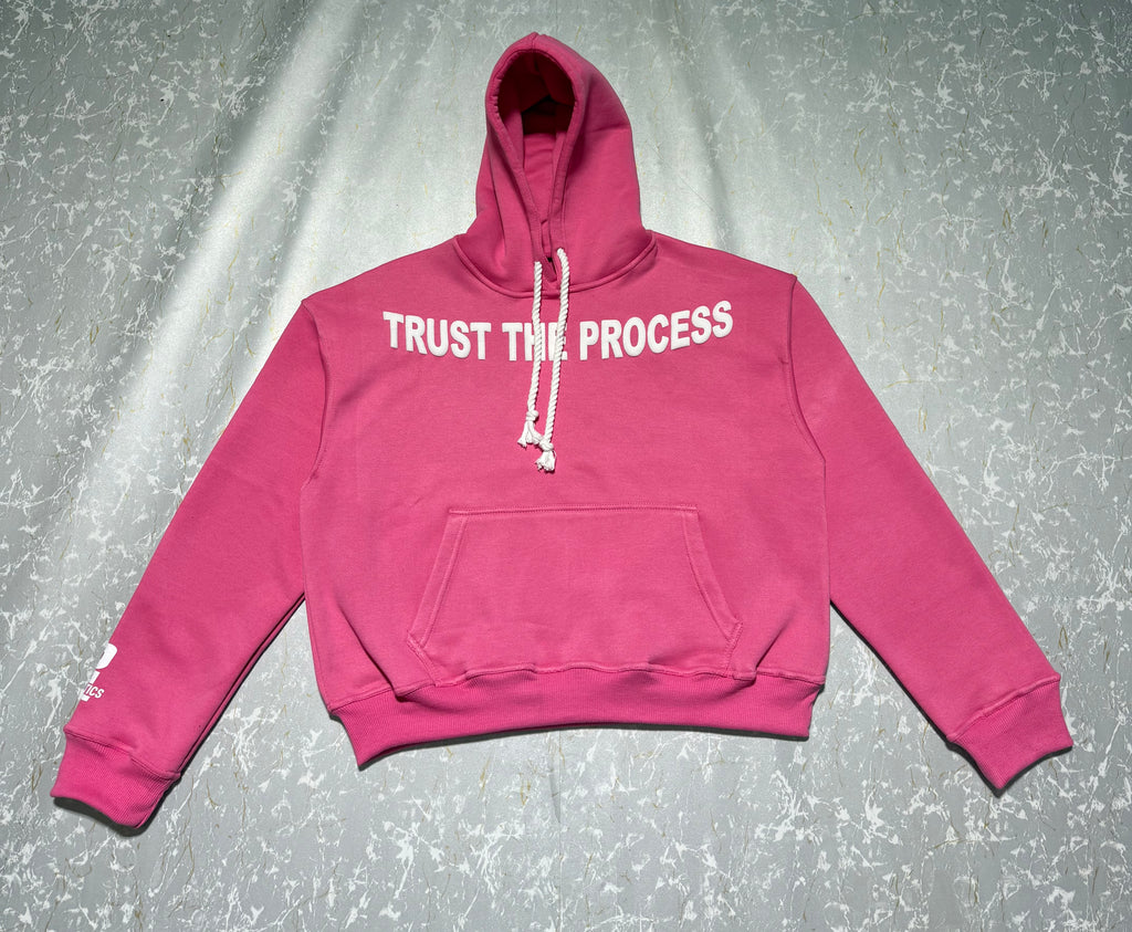 P1 Hoodie(TRUST THE PROCESS)