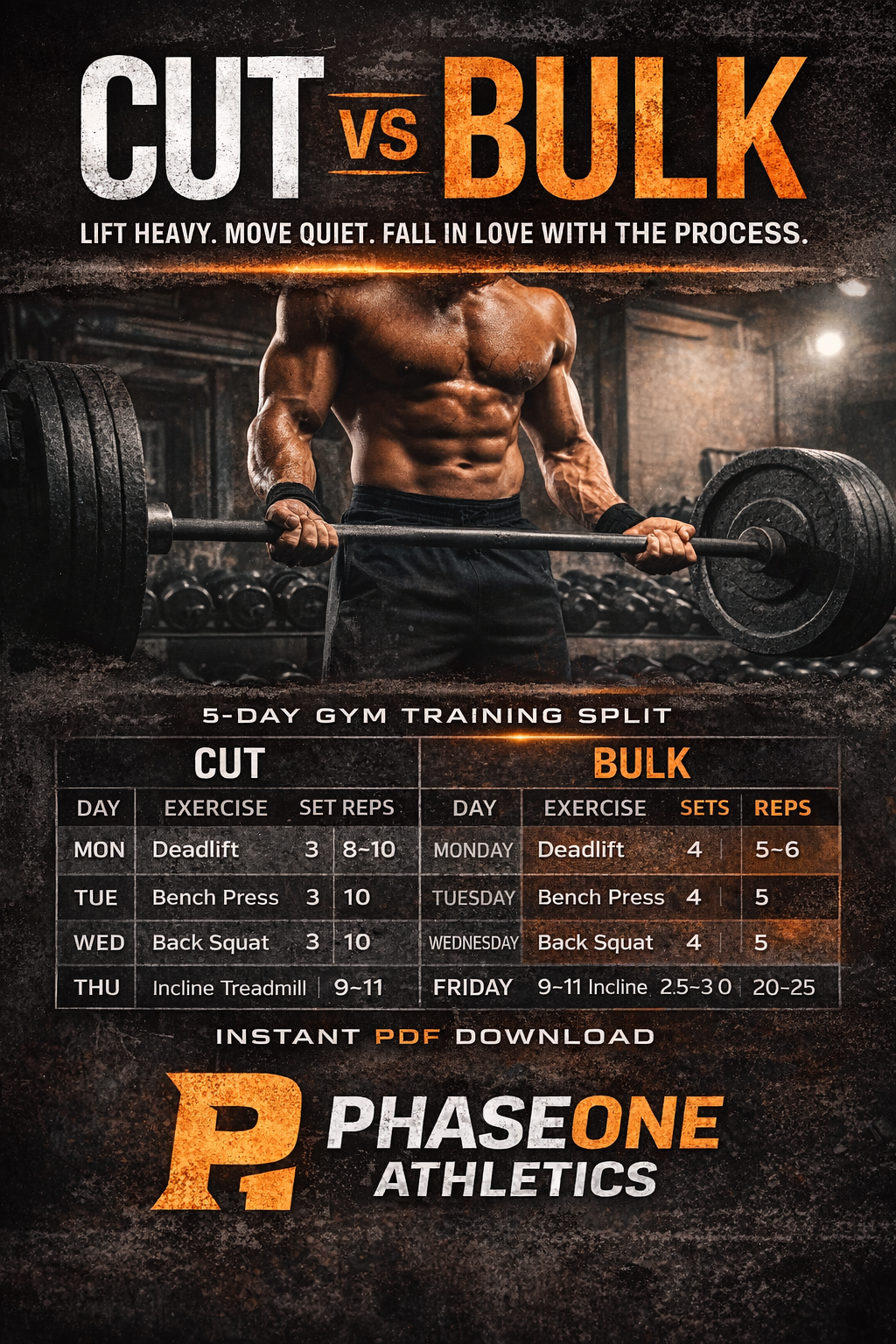 PhaseOne Cutting vs Bulking Program